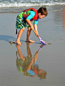 Assateague Island