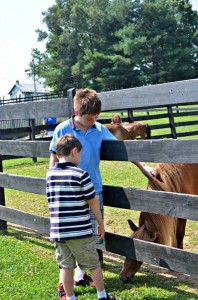White Oak Lavender Farm